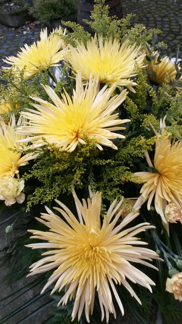 Smuteční — fotografie 3