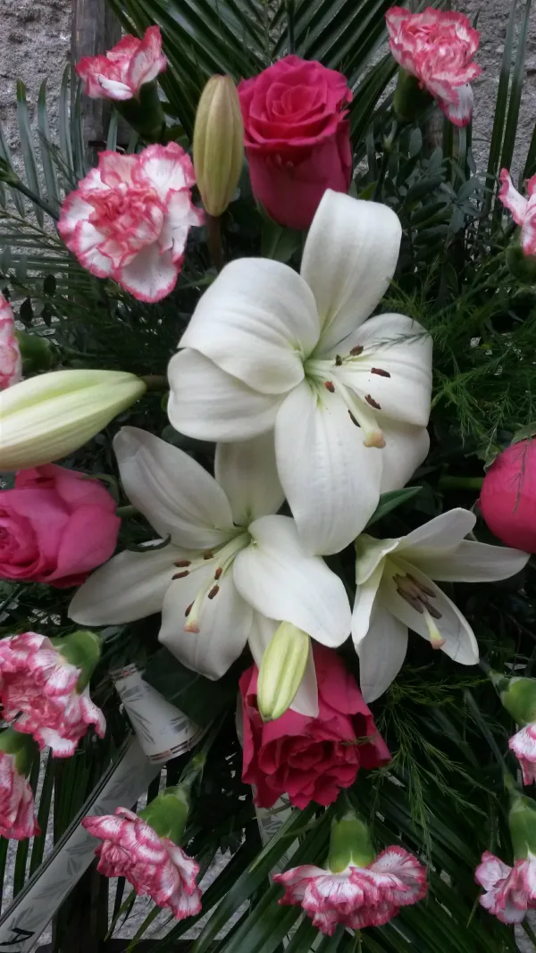 Smuteční — fotografie 6