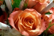 20160504_142747