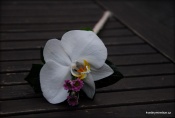 20150721-DSC_0013