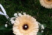 20160715_175752