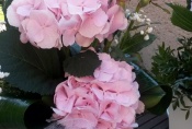 20170602_084443