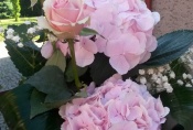20170602_084454