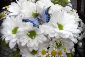 20170623_175159