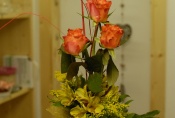dsc4286